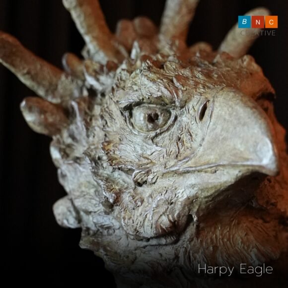 Harpy Eagle | Thanasan Iamtasana